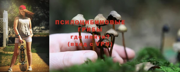 ПСИЛОЦИБИНОВЫЕ ГРИБЫ Алзамай