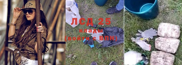 ПСИЛОЦИБИНОВЫЕ ГРИБЫ Алзамай
